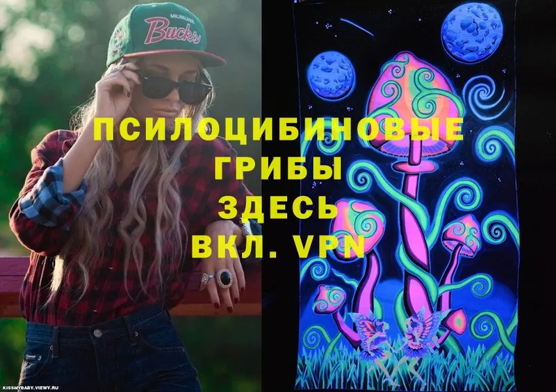 закладка  Краснознаменск  Галлюциногенные грибы Magic Shrooms 